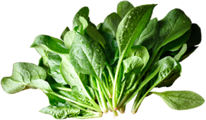 ほうれん草